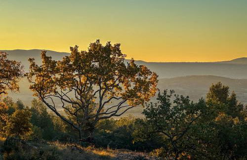 Mas La Rose Sauvage - magnificent Luberon views - Foto 62