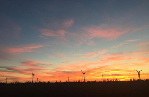 Gartenidyll Insel Rügen Poppelvitz bei Altefähr - Photo 18