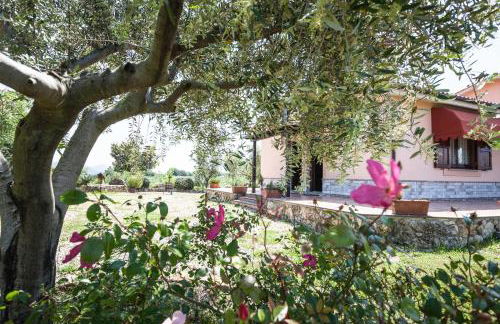 Agriturismo Casale Sasso - Foto 17