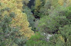 Mas Els Terrats - Foto 136