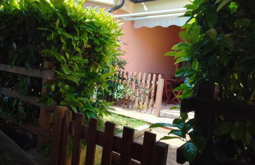 Bilo Noel - Photo 11