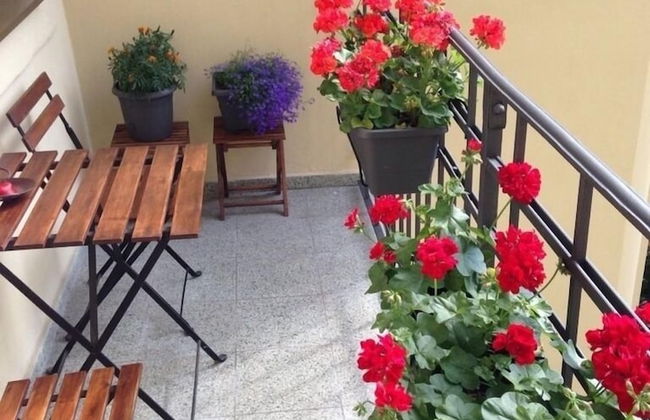 Apartments Dusní - Foto 8