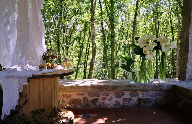 Casa do Cribeiro - Photo 23