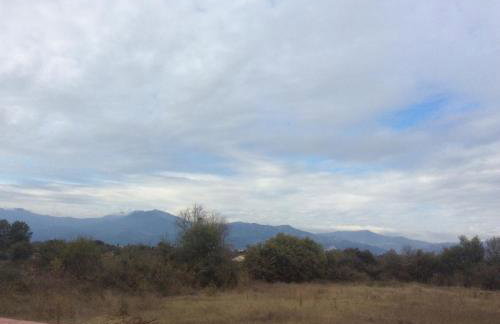 green guesthouse - Foto 18