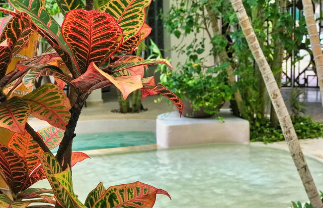 Royal Palms by Bric - Foto 80