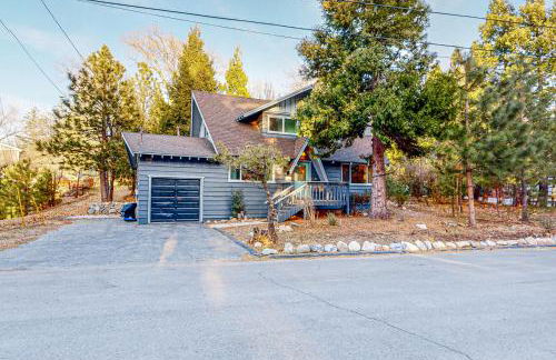 Saint Bernard Beauty - Foto 25