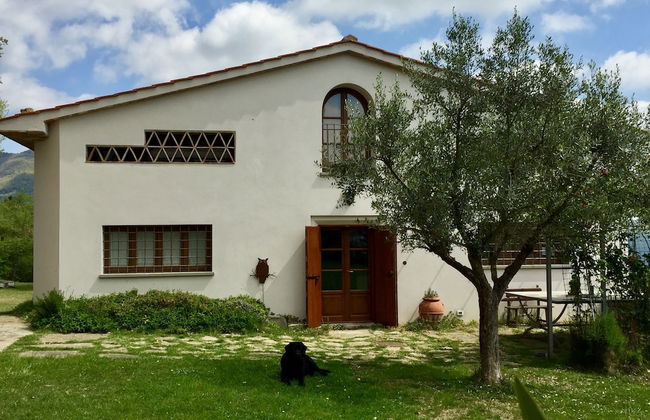 Poggio Corsucci - Foto 56