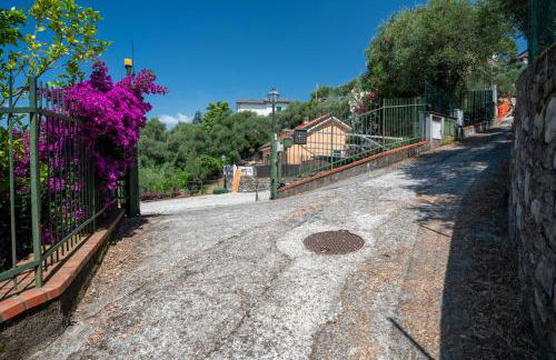 Ollie`s house - Foto 51