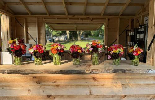 Home 7 beds, 2 baths Farmstay at Pygmy Goat Farm Byron Center Michigan - Foto 44
