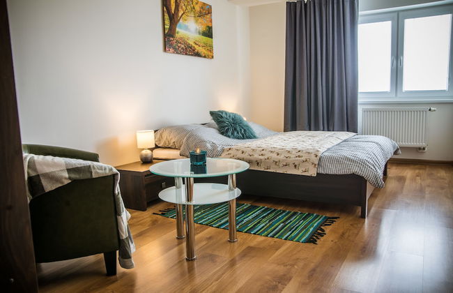 Apartment Eric 9D High Tatras - Foto 12