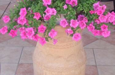 Panos Studios - Foto 31