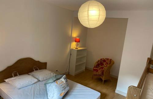 Le fleuri ensoleillé de Guzet - Foto 6