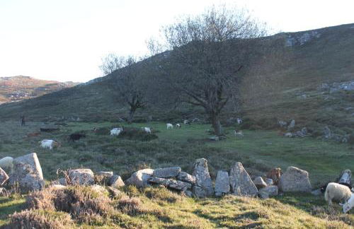 A Avozinha - Arouca - Foto 47