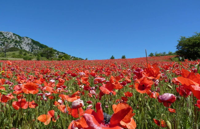 Adelina a Gamberale - Foto 27