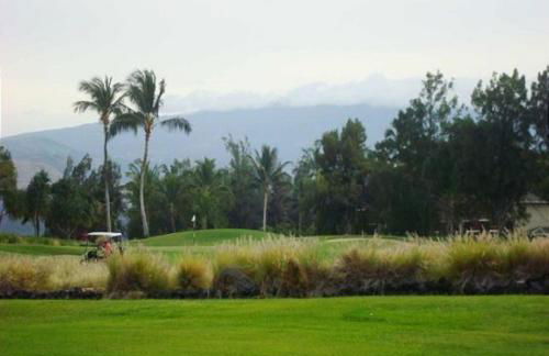 304 Waikoloa Colony Villas - Foto 31