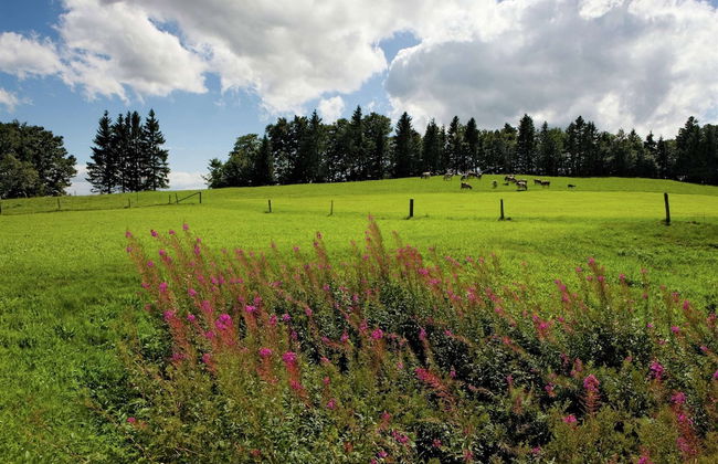 Holiday Home in Nysted by Baltic Sea - Foto 25