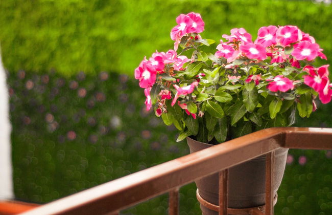 Casa Xantolo Romantic Zone - Foto 28