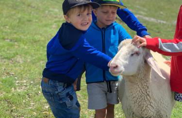 Villa Silvia - Photo 57