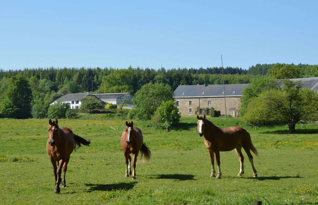 Peaceful Retreat in Roumont - Foto 30