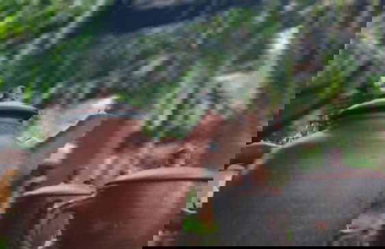 PURI KAHURIPAN - Foto 11