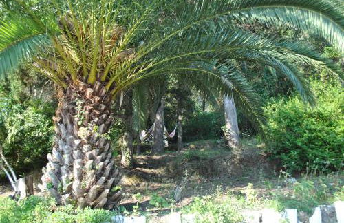 Hotel Helios Splendid - Foto 19