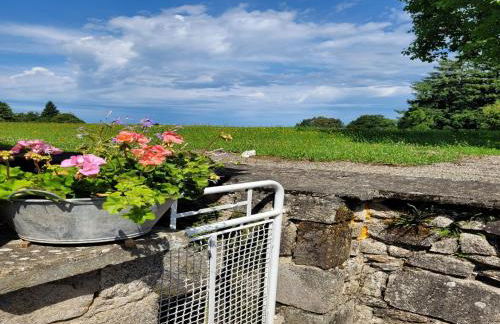 Holiday Home in Limousin near Forest - Foto 21