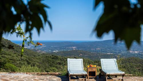 Mas provençal avec piscine chauffée, tennis, pétanque, vue mer, 20 min St Tropez - Foto 3, sunbed