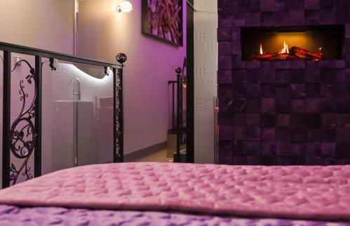 Domaine de l'Angélique - Loft avec SPA privatif - Marais poitevin entre Niort et La Rochelle - Foto 7