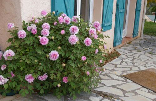 Villa conviviale au soleil avec piscine - Foto 29