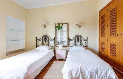 Monte Velho - Foto 18