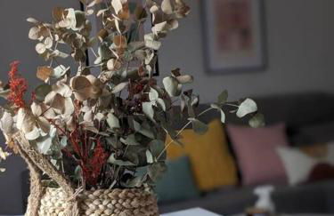 La Florida - Foto 19