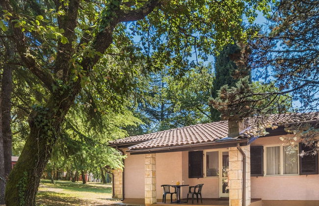 Apartments Polynesia Plava Laguna - Foto 48