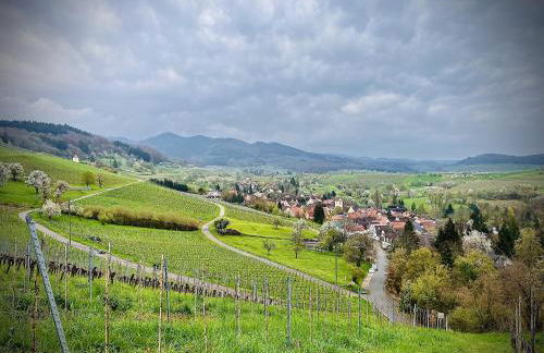Ferienwohnung Gut Edel - Foto 30