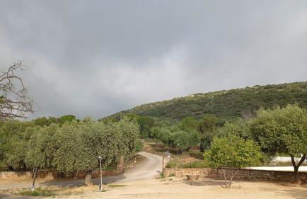Casas Rurales Cortijo la Cañada - Photo 57
