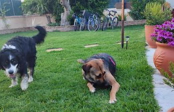 Mozart House Studio - Foto 39