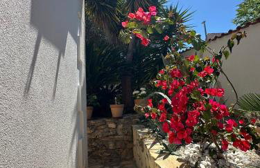 Apartments Brač - Photo 13