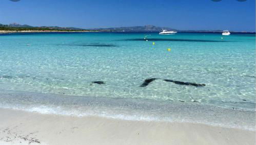 The stars apartment - Photo 3