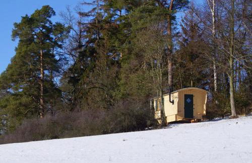 Ferienhof Berghof - Foto 38