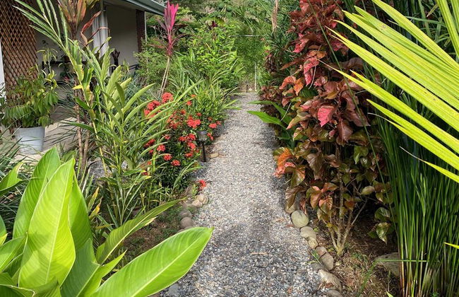 Morning Glory - Foto 52