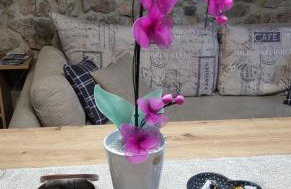 Apartman Orhideja - Foto 17