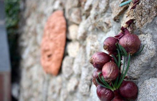 Villa Del Conte - Foto 72