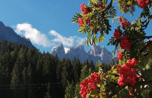 Casa Minela - Foto 41