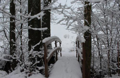 Domki Spokojny Zakątek z balią z jacuzzi - Foto 54