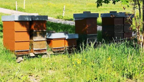 Ferienhaus Brigitte - Breitnau - Foto 3