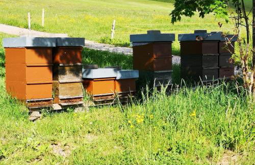 Ferienhaus Brigitte - Breitnau - Foto 3