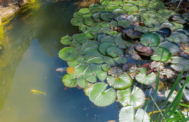 Country house D&D - Foto 24