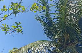 Pousada Astúrias - Foto 34