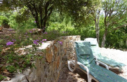 L'Esquirou - Foto 10