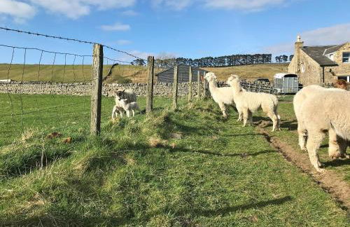 Ferny Rigg Byre - Uk3326 - Foto 25