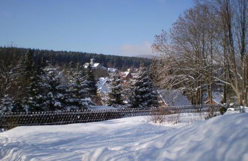 Ferienhaus Harzidyll - Foto 12